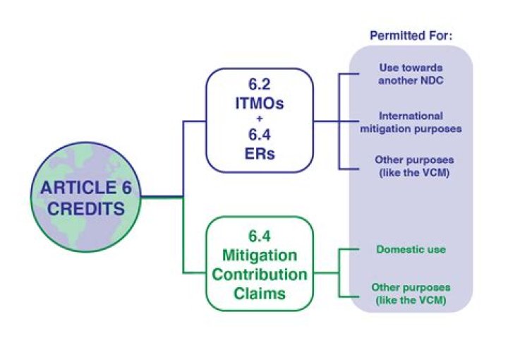 Is Article 6 a limited right?