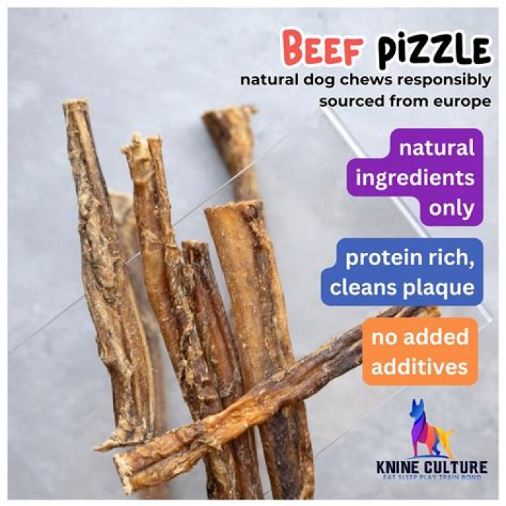 Is beef pizzle good for dogs