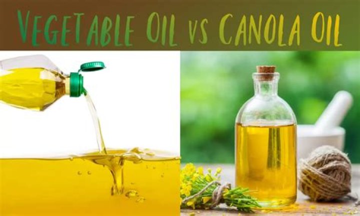 Is canola oil like vegetable oil