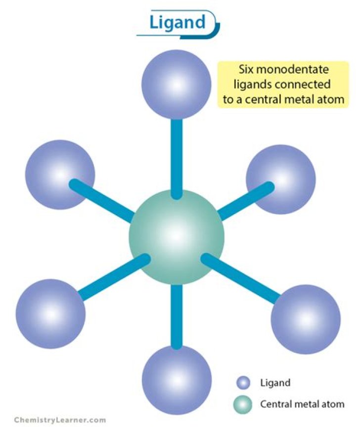 is dmg a neutral ligand