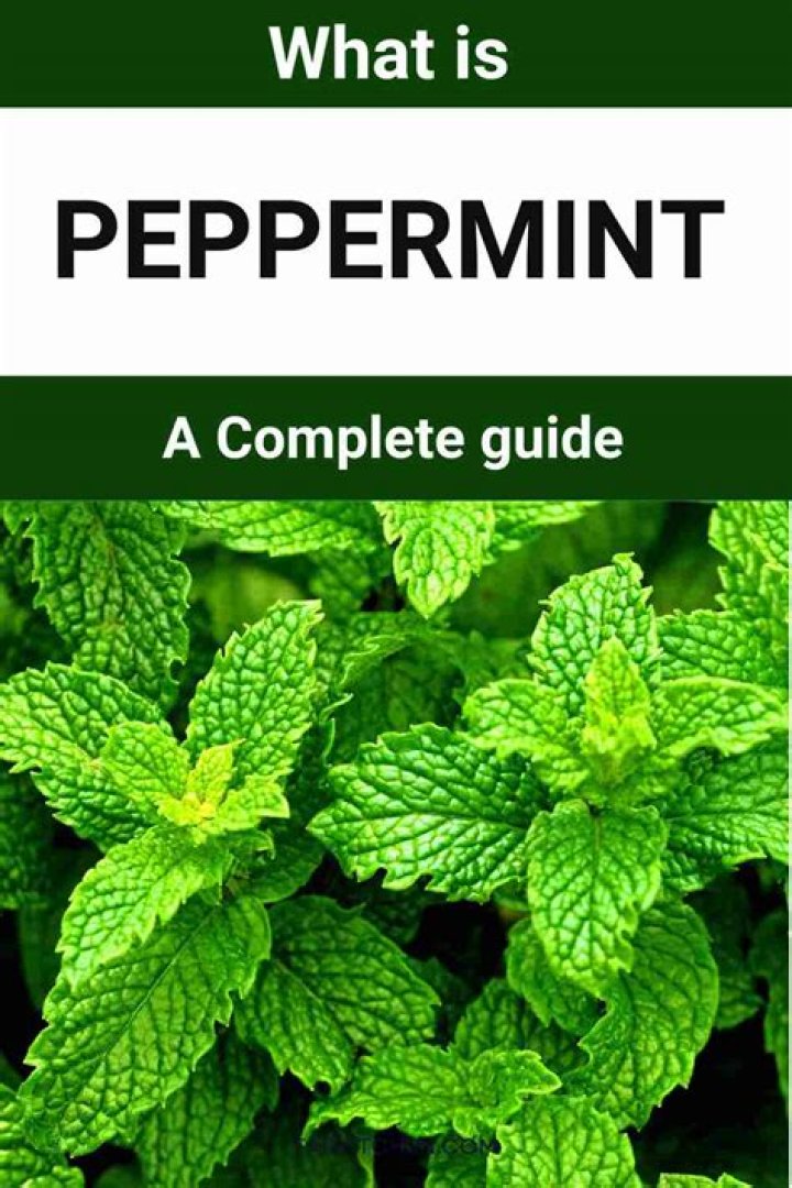 Is eating peppermint good for you