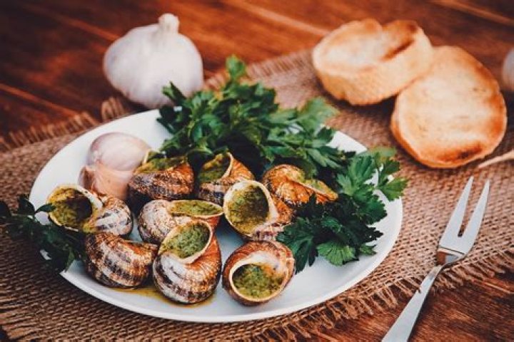 Is Escargot a fish or meat?