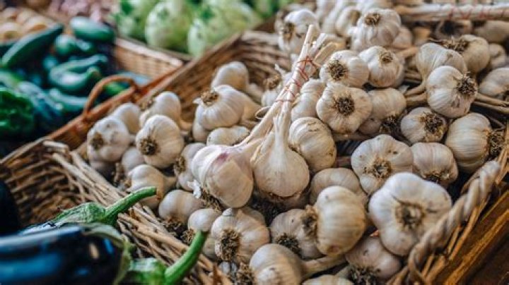 is garlic a vegetable