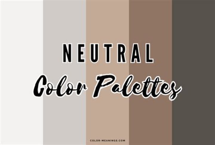 is gray a neutral color