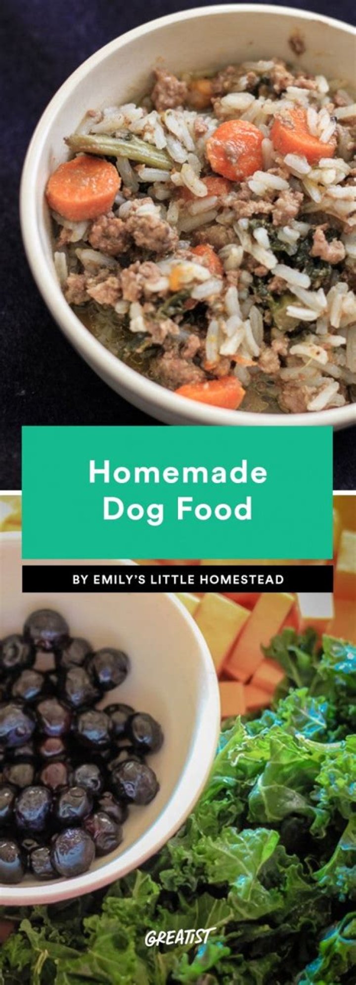 Is home cooked food better for dogs?