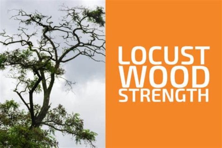 is locust a hardwood
