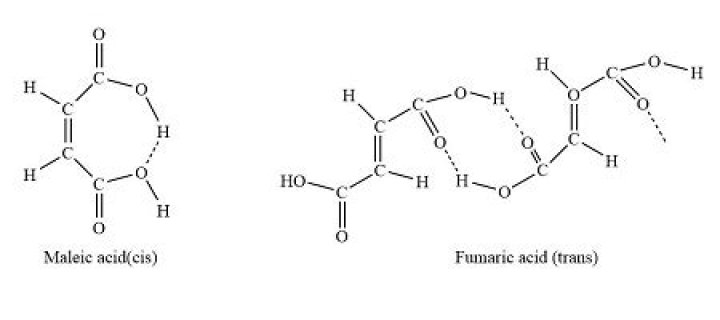 Is maleic acid or fumaric acid more stable?