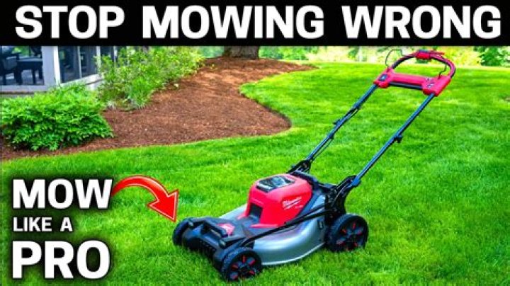 Is mowing the lawn good for you