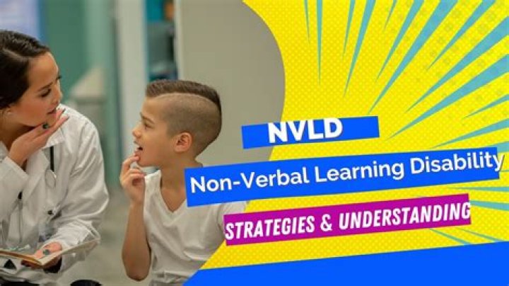Is NVLD a developmental disability