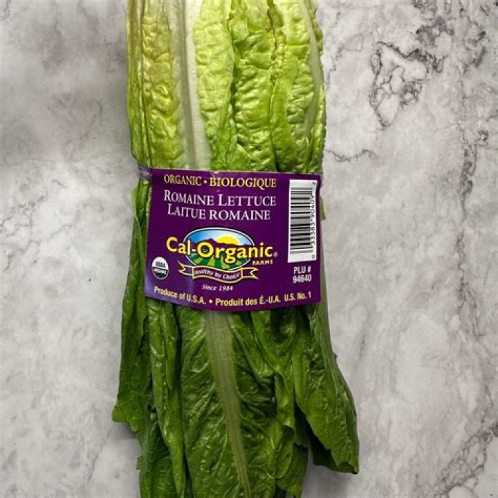 Is organic romaine lettuce safe?