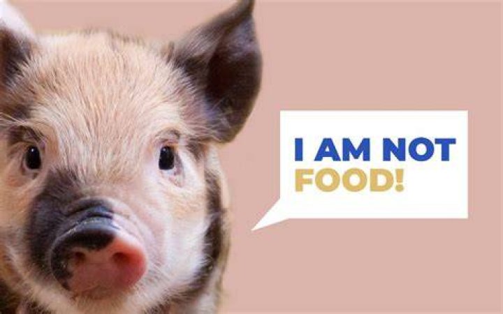 is pork bad for you
