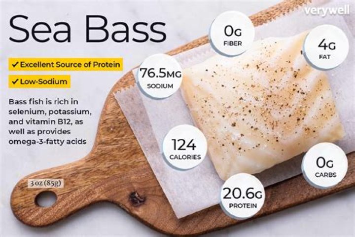 is sea bass good for you