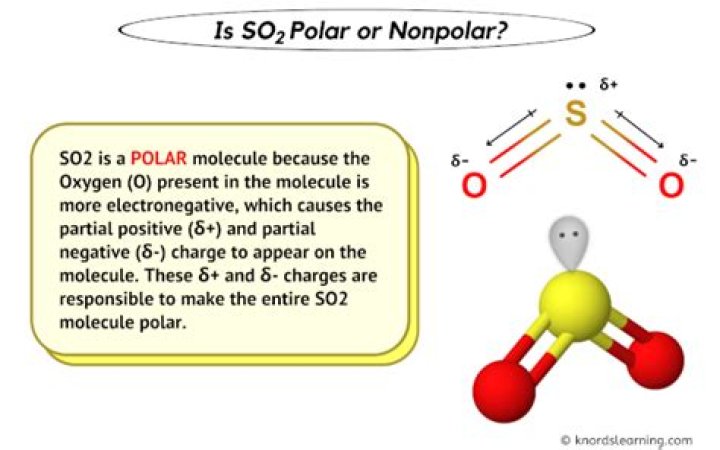 is so2 polar