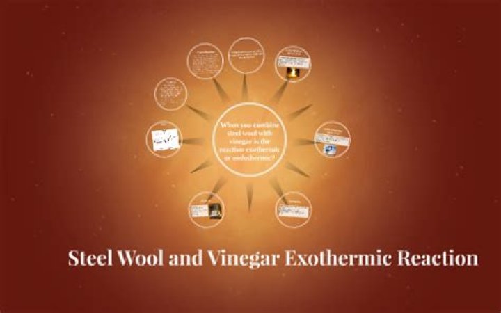Is steel wool and vinegar exothermic or endothermic
