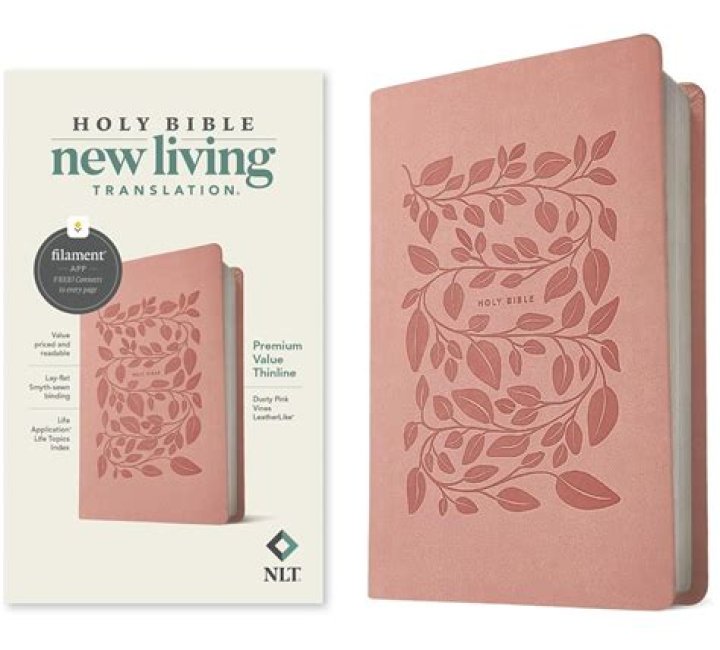 Is the NLT a good version of the Bible?