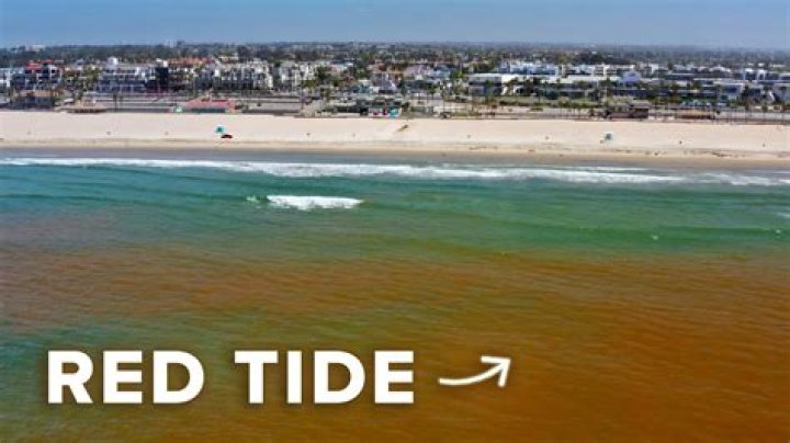 Is there red tide in Pensacola