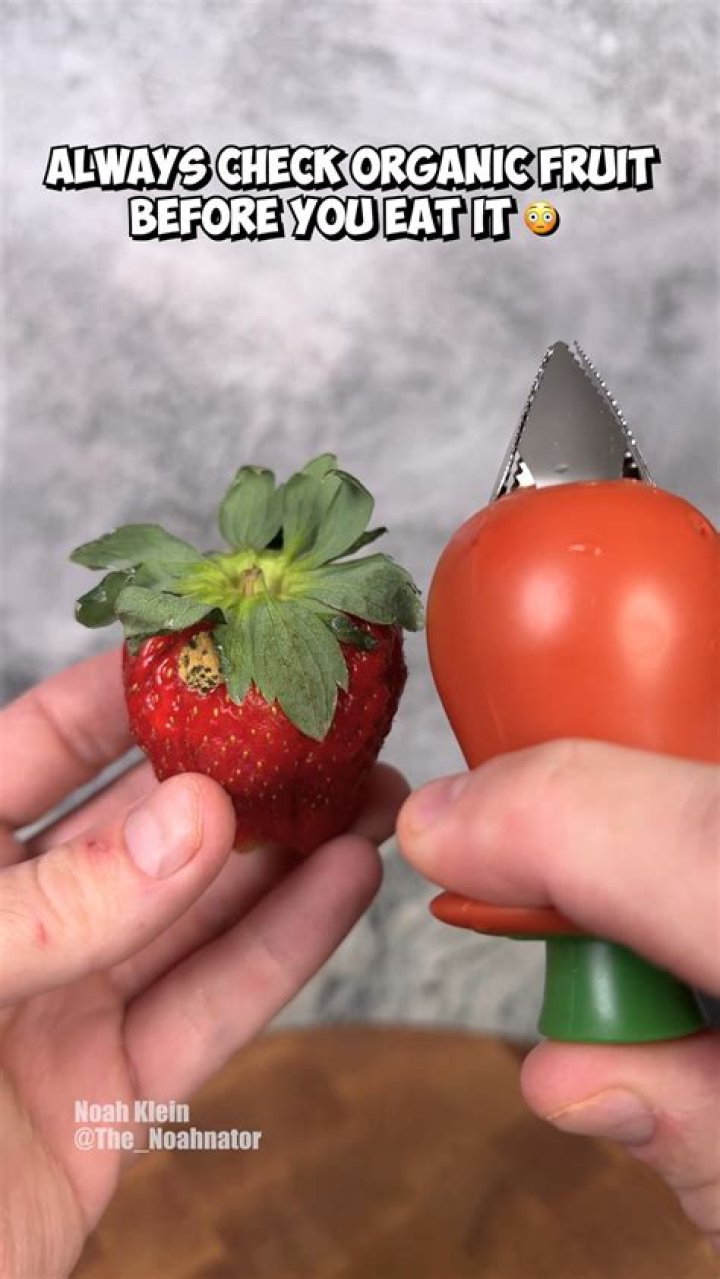 Is to bear fruit correct?