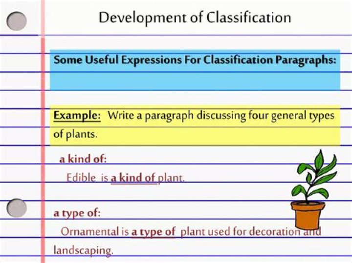 kinds of paragraph development and their examples