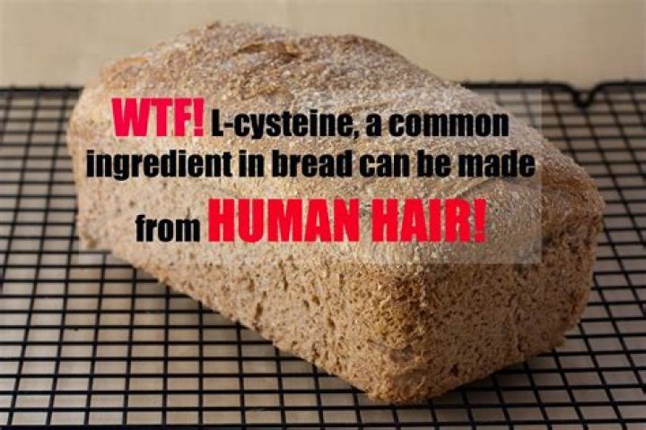 l cysteine bread