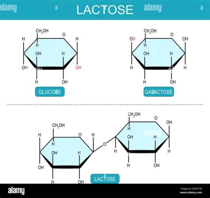 lactose is a disaccharide formed by the formation of a