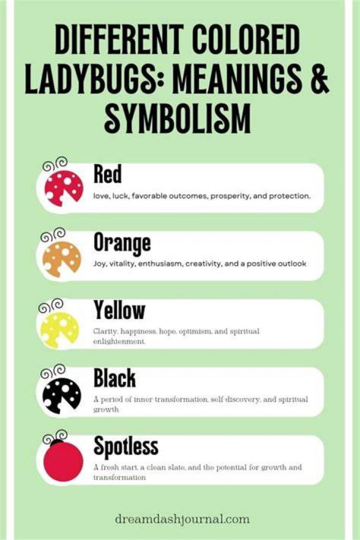ladybug symbolism