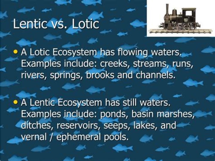 lentic vs lotic