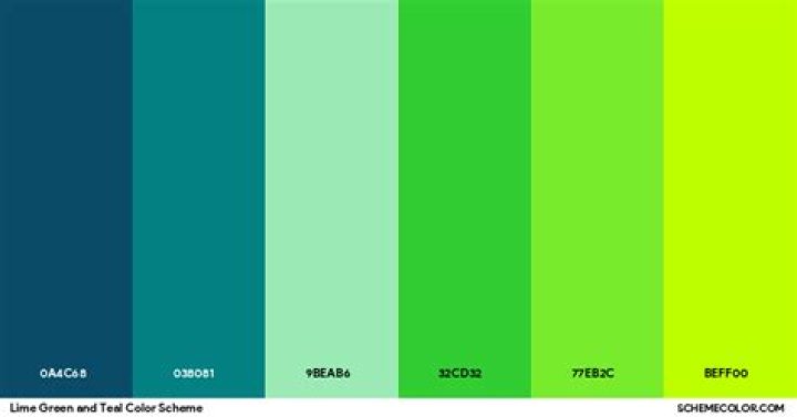 lime green and teal