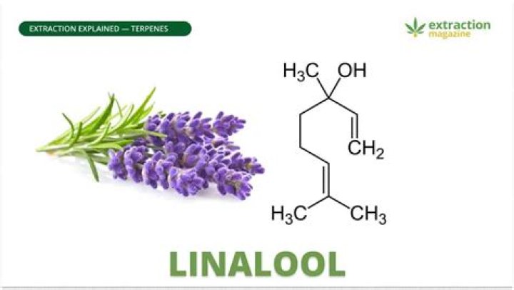 linalool in skin care