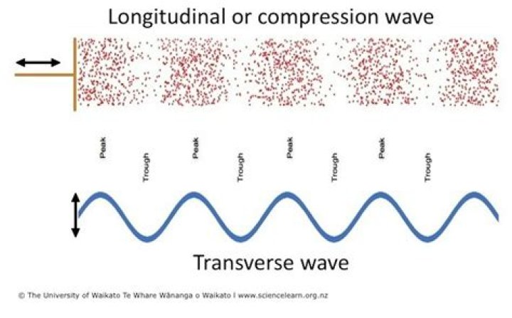 longitudinal waves can pass through