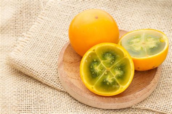 lulo fruit