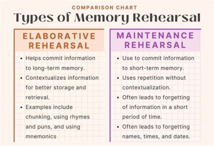 maintenance rehearsal