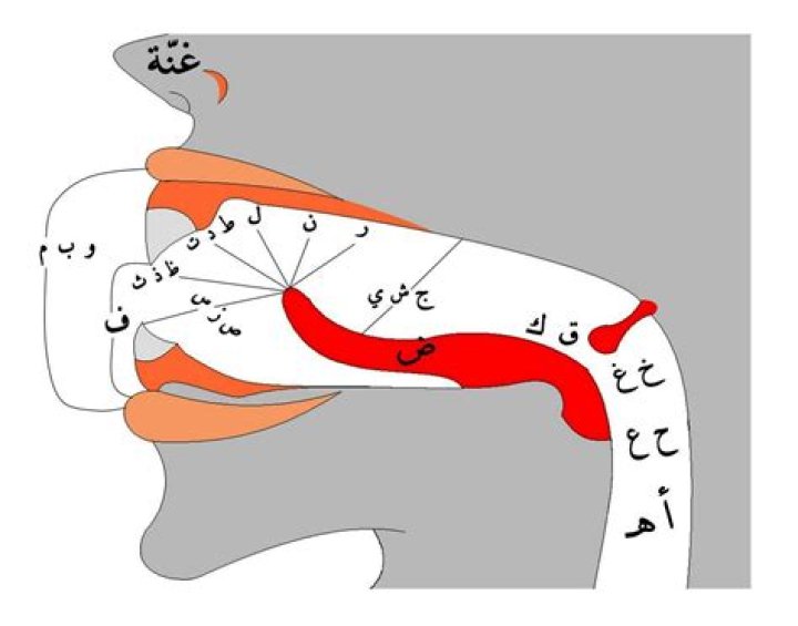 makharij