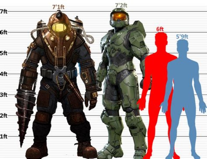 master chief height