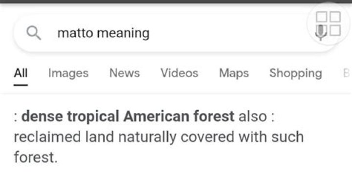 matto meaning