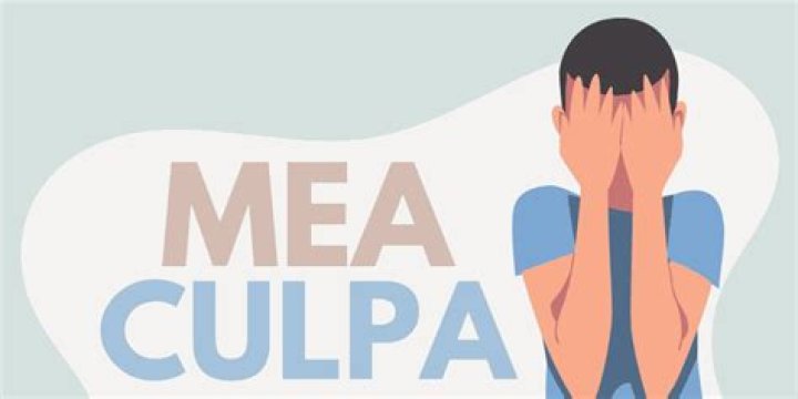 mea culpa meaning