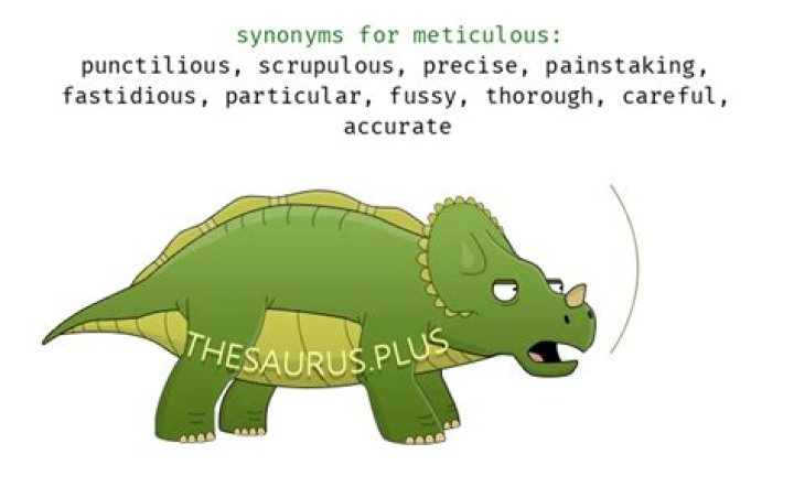 meticulous synonyms