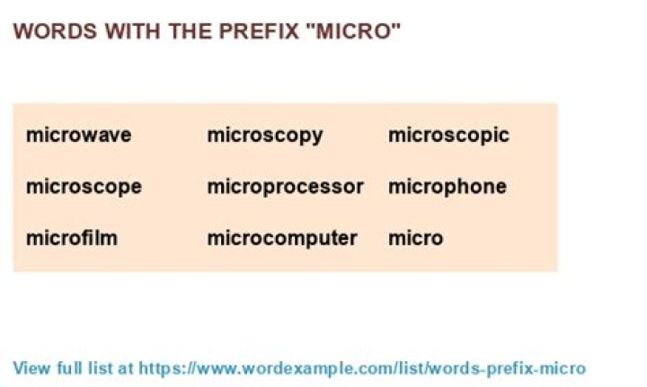 micro prefix words