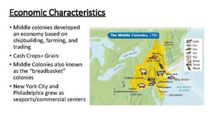 middle colonies economic activities