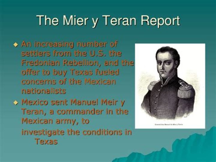 mier y teran report