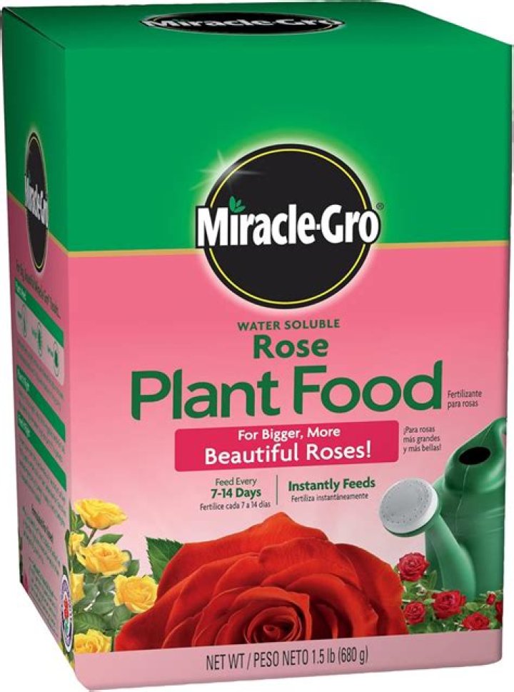 miracle grow rose food