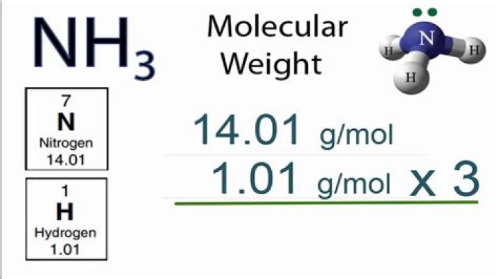 molar mass of ammonia