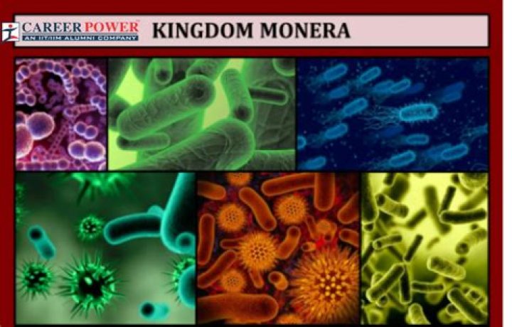 monera examples