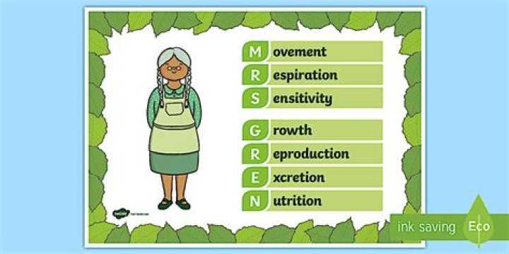 mrs gren