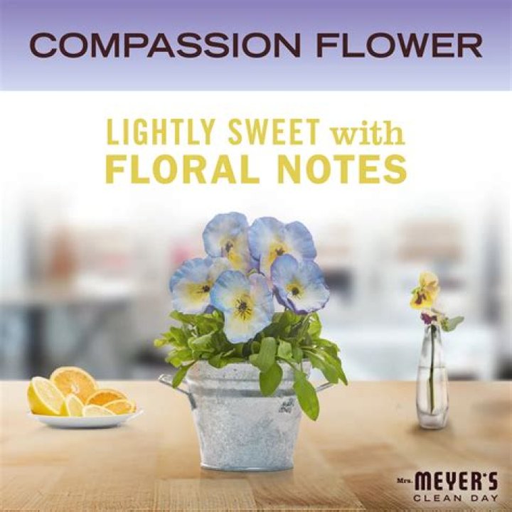 mrs meyer’s compassion flower