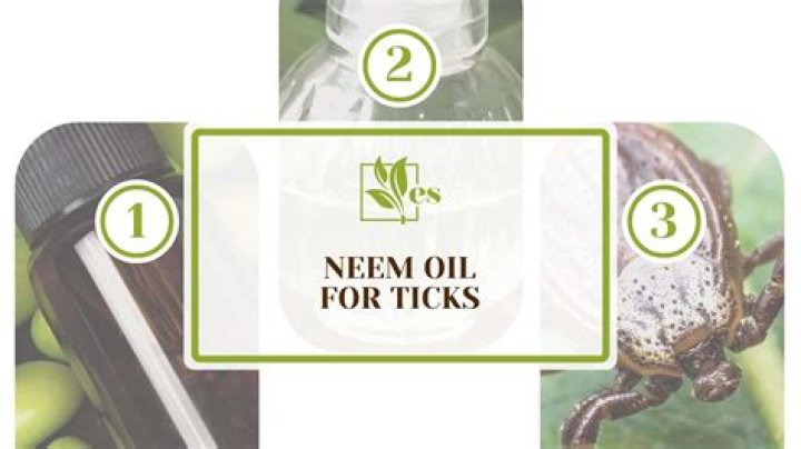 neem oil for ticks