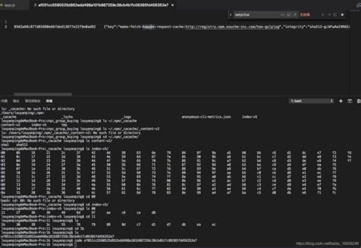 npm clean cache