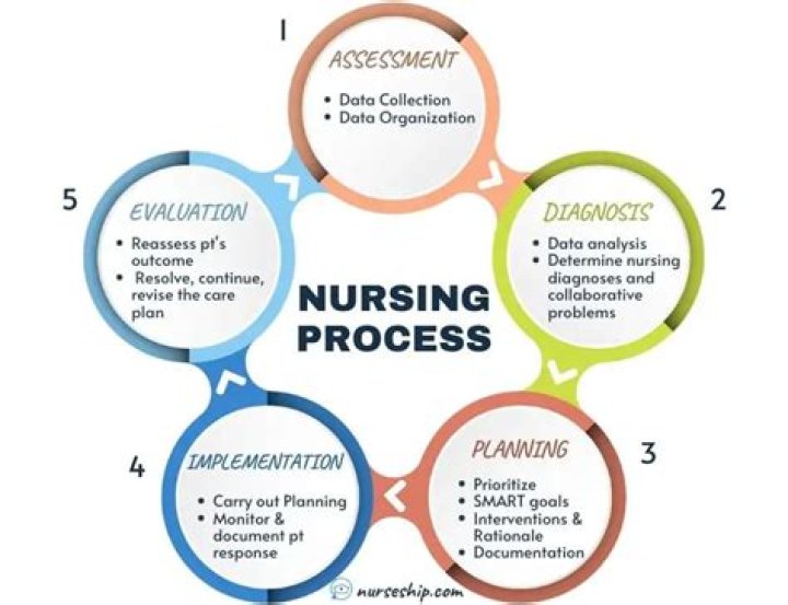 nursing process steps