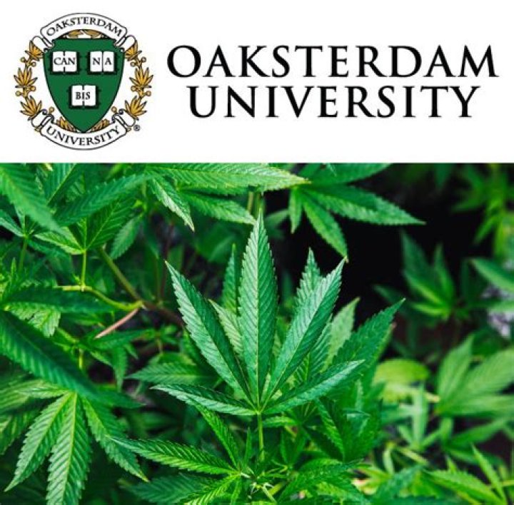 oaksterdam university online