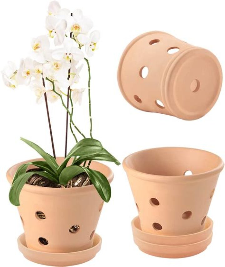 orchid pots with holes