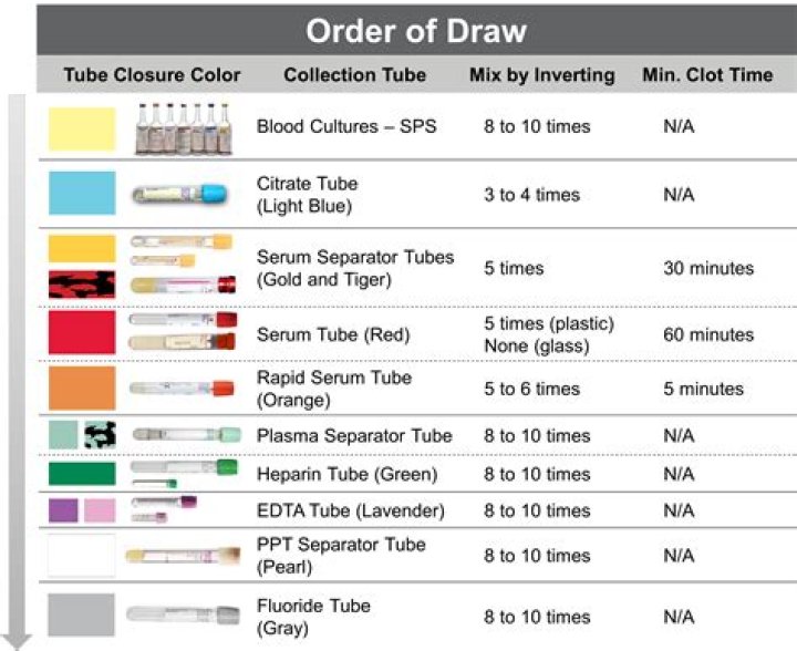 order of draw